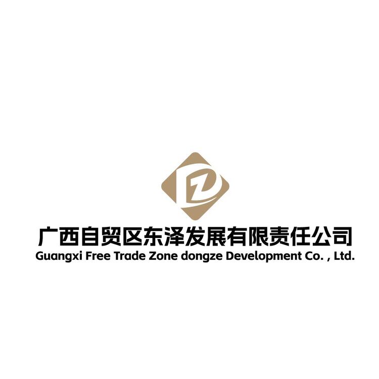 广西自贸区东泽发展有限责任公司logo